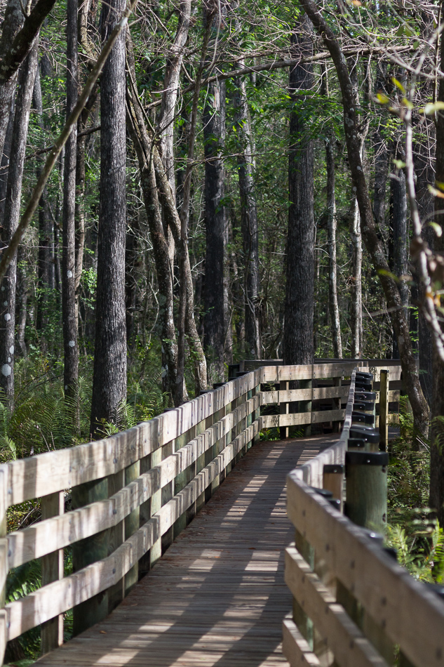 boardwalk